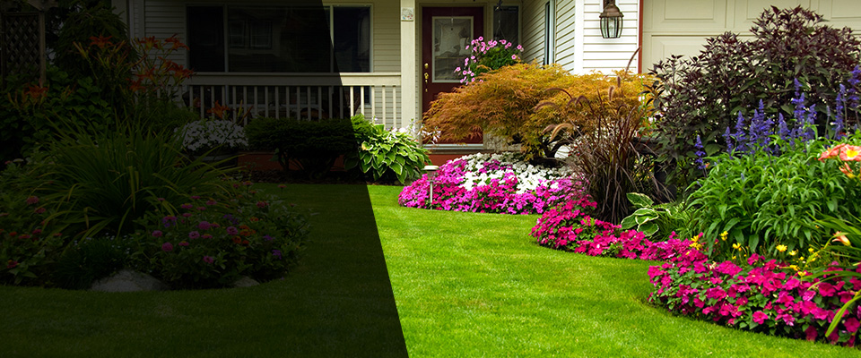Saint Marys Landscapers
